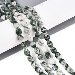 Камень с Зелеными Точками Натуральные зеленые пятна яшмовых нитей, Плоско-овальные, 8x6x4 мм, отверстие : 0.8 мм, около 48~49 шт / нитка, 14.88~15.16'' (37.8~38.5 см)