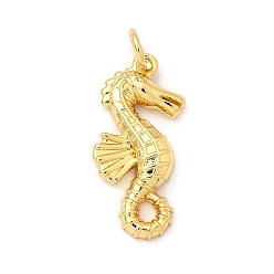 Sea Horse Латунные подвески, без кадмия и без свинца, реальный 16 k позолоченный, с целью перехода в кольце, морской конек, 22x11x3 мм, отверстие : 3.4 мм