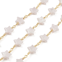 Real 18K Gold Plated Brass Link Chains, Cadmium Free & Nickel Free & Lead Free, with ABS Plastic Star Beaded, Unwelded, with Spool, Real 18K Gold Plated, 20~21x10x3.5mm