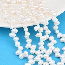 White Natural Cultured Freshwater Pearl Beads Strands, Rice, Grade 3A++, Top Drilled, White, 6~7mm, Hole: 0.6mm, about 64~65pcs/strand, 13.78''(35cm)
