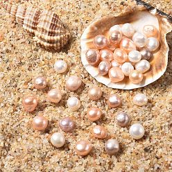 Морская Ракушка 10шт. натуральные пресноводные жемчужные бусины, двух сторон полированной, цвет морской раковины, 6~7x7~9x4~5 мм, отверстие : 1 мм