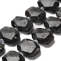 Larvikite Натуральные нити бус из ларвикита, со стеклянными бусинами, граненые, прямоугольные, 20.5~22.5x15.5~16.5x6.5~7.5 мм, отверстие : 1.6 мм, около 21 шт / нитка, 15.12~15.28'' (38.4~38.8 см)