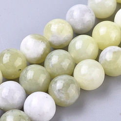 Синьцзян Нефрит Бусы из натурального нефрита синьянг, круглые, 10 мм, отверстие : 1.2 мм, около 38 шт / нитка, 15.16 дюйм (38.5 см)