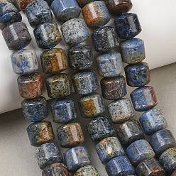 Dumortierite Natural Dumortierite Beads Strands, Column, 10x10mm, Hole: 1mm, about 39pcs/strand, 15.55''(39.5cm)