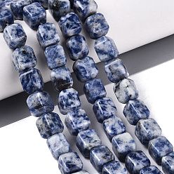 Blue Spot Jasper Natural Blue Spot Jasper Beads Strands, Cuboid, 10~12x9~10x9~10mm, Hole: 0.6~0.9mm, about 32~36pcs/strand, 14.37~16.34(36.5~41.5cm)