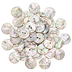 Colorful 50Pcs Natural Shell Buttons, 2-Hole, Flat Round, Colorful, 20x2.5mm, Hole: 2mm