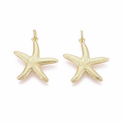 Настоящее золото 16K Латунные подвески, морская звезда, с целью перехода в кольце, реальный 16 k позолоченный, 22x20x2 мм, отверстие : 3 мм