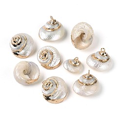 Морская Ракушка Гальванические подвески из натуральной спирали в ракушке, Подвески в виде раковин с петлями из железа золотистого оттенка., цвет морской раковины, 15~21x13~19x10~16 мм, отверстие : 1.8~1.9 мм