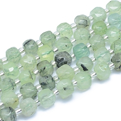Prehnite Natural Prehnite Beads Strands, Faceted, Cube, 7.5~9x7.5~9x7.5~9mm, Hole: 0.8mm, about 37pcs/strand, 15.35 inch(39cm)
