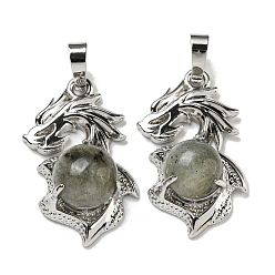 Лабрадорита Природные подвески лабрадорита, Подвески-драконы со стойкой, латунная фурнитура, платина, без кадмия и без свинца, 31x18x8~10 мм, отверстие : 5x8 мм
