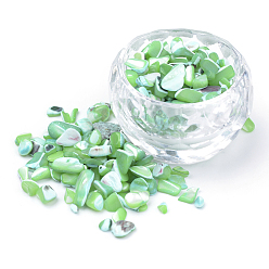 Light Green Natural Sea Shell Beads, No Hole, Dyed, Chip, Light Green, 2~15x2~10x1~5mm