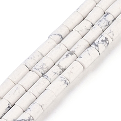 Говлит Природные Говлит бисер нитей, колонка, 7.5~8.5x5~6 мм, отверстие : 1 мм, около 45~46 шт / нитка, 14.69~15.04 дюйм (37.3~38.2 см)