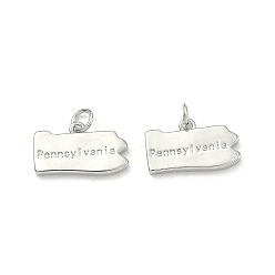 Platino Colgantes de latón, Nuggets con la palabra Pennsylvania Charms, larga duración plateado, chapado en rack, sin plomo y el cadmio, Platino, 10.5~11x18x2.5 mm, anillo de salto: 5x1 mm, 3 mm de diámetro interior.