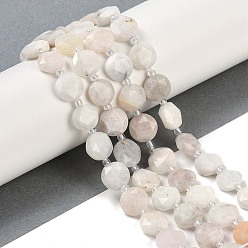 White Moonstone Натуральный белый лунный камень бисер пряди, граненый пятиугольный разрез, плоские круглые бусины в форме монеты, с бисером, 10~10.5x5~6 мм, отверстие : 1 мм, около 32~33 шт / нитка, 15.75'' (40 см)