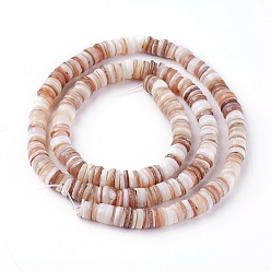 Antique White Shell Beads Strands, Disc, Antique White, 4.9~6x0.4~6mm, Hole: 1.4mm,  about 15.94 inch~16.14 inch(40.5~41cm)
