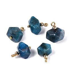 Apatite Natural Apatite Pendants, Faceted Nuggets Charms, with Golden Tone Brass Findings, 13~15.5x8.5~15x8.5~15mm, Hole: 1.2~1.8mm, about 5pcs/bag