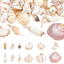 Разные Ракушки 24 шт. 12 стили подвески из натуральных ракушек с гальваническим покрытием, с латунной фурнитурой , формы раковины, золотые, разноцветные, 15~49x8~42x4~18 мм, отверстие : 1.2~2 мм, 2 шт / стиль