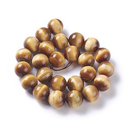 Темно-Золотистый Природных тигровый глаз бисер нитей, круглые, окрашенная и подогревом, темные золотарник, 16 мм, отверстие : 1.5 мм, около 25 шт / нитка, 15.3 дюйм ~ 15.75 дюйм (39~40 см)