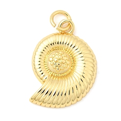 Настоящее золото 18K Латунные подвески, форма раковины, долговечный, без свинца и без кадмия, стойки покрытие, с целью перехода в кольце, реальный 18 k позолоченный, 20.5x15x3 мм, отверстие : 3.5 мм