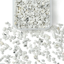 Говлит 50g бусины из натуральной говлитовой крошки, нет отверстий / незавершенного, 2~8x2~4 мм