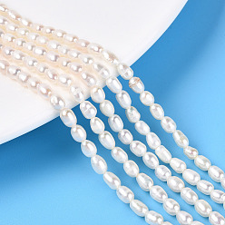 Кремово-белый Нити из натурального культивированного пресноводного жемчуга, рис, класса AB, кремово-белые, 3~6.5x3~4 мм, отверстие : 0.6 мм, около 72~75 шт / нитка, 13.78~14.17 дюйм (35~35.5 см)