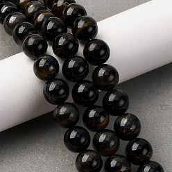 Тигровое Железо Нити железных бусин натурального синего тигрового цвета, круглые, 10 мм, отверстие : 0.7 мм, около 39~40 шт / нитка, 15.83~16.14'' (40.2~41 см)