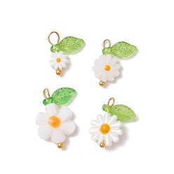 Белый 4 шт. 4 стили натуральные пресноводные ракушки эмалированные подвески, , с медными петлями, золотые, белые, 13~18.5x11.5~13.5x3.5~4 мм, отверстие : 3~4x2~3 мм, 1 шт / стиль