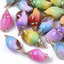 Mixed Color Spray Paint & Electroplate Spiral Shell Pendants, with Golden Tone Brass Loops, Mixed Color, 32~40x17~20x15~17mm, Hole: 1.6mm