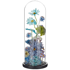 Black Clear Glass Dome Cover, Decorative Display Case, Cloche Bell Jar Terrarium with Wood Base, Black, 14.3x36.6cm