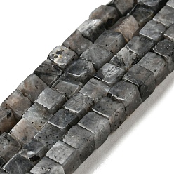 Лабрадорита Синтетические лабрадоритные бусины, кубические, 3~3.5x3~3.5x3~3.5 мм, отверстие : 0.8 мм, около 110 шт / нитка, 14.96 дюйм (38 см)