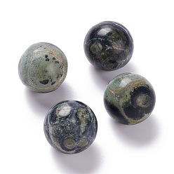Kambaba Jasper Natural Kambaba Jasper Beads, No Hole/Undrilled, for Wire Wrapped Pendant Making, Round, 20mm