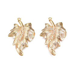 Настоящее золото 18K Латунные подвески, лист, без кадмия, без никеля и без свинца, реальный 18 k позолоченный, 35x22x2.5 мм, отверстие : 1.2 мм