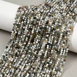 Мосс Агат Природные моховой агат бисер нитей, граненые круглые, 2.5 мм, отверстие : 0.6 мм, около 158 шт / нитка, 14.92~15'' (37.9~38.1 см)