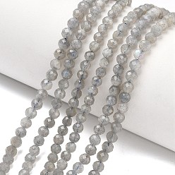 Лабрадорита Природные лабрадорита бисер нитей, граненый (32 граней), круглые, 4 мм, отверстие : 0.9 мм, около 93 шт / нитка, 15.16 дюйм (38.5 см)