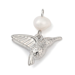Платина Подвески из натурального пресноводного жемчуга и латуни, амулеты птиц, стойки покрытие, без кадмия и без свинца, долговечный, платина, 23x18x7.5 мм, отверстие : 2 мм