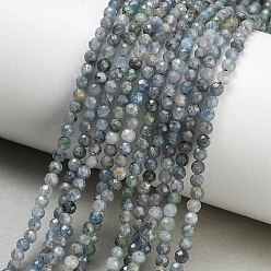 Zyanit Natürliche kyanite Perlen Stränge, Runde, facettiert, 3 mm, Bohrung: 0.6 mm, ca. 132~134 Stk. / Strang, 14.96'' (38~38.5 cm)