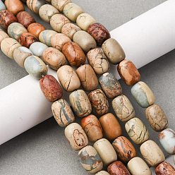 Аква Терра Яшма Натуральные бусины из аква терра яшмы, колонка, 14~14.5x10 мм, отверстие : 0.8 мм, около 27 шт / нитка, 15.16 дюйм (38.5 см)