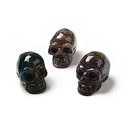 (RRHB277) Кристалл на подкладке из медово-бежевого цвета Хэллоуин натуральный индийский агат украшения дисплея, украшения для дома, череп, 35~37x30~31x48~50.5 мм