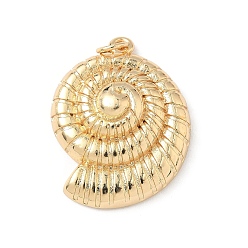 Настоящее золото 18K Латунные подвески, с целью перехода в кольце, форма спиральной оболочки, без свинца и без кадмия, долговечный, стойки покрытие, реальный 18 k позолоченный, 27x21x7 мм, отверстие : 3.4 мм