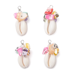 Платина Подвески из натуральных ракушек каури и окрашенных натуральных ракушек трохид, подвески в форме ракушки с медной проволокой, обернутой в искусственный жемчуг, разноцветные, платина, 34.5~36.5x17.5~18.5x15.5~18.5 мм, отверстие : 3.5 мм