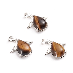 Тигровый глаз Природных тигровый глаз подвески, с латунными кабошонами, слеза, с крылом, 23~23.5x25x8~9 мм, отверстие : 8x5 мм