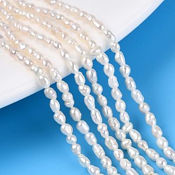 Кремово-белый Нити из натурального культивированного пресноводного жемчуга, рис, кремово-белые, 2~4x2~2.5 мм, отверстие : 0.3~0.4 мм, около 52~57 шт / нитка, 6.89~7.09'' (17.5~18 см)