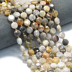 Бамбуковые Листья Агат Природные бамбуковых листьев агат бисер нитей, граненый шестиугольный разрез, плоско-круглые, с бисером, 10~10.5x6 мм, отверстие : 1 мм, около 31~32 шт / нитка, 15.35''~15.55'' (39~39.5 см)