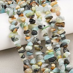 Flower Amazonite Натуральный цветок амазонитовые бусины пряди, чип, 3.5~16.5x3~6x1.5~7 мм, отверстие : 0.7~0.8 мм, 31.18~31.50'' (79.2~80 см)