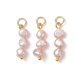 Морская Ракушка Подвески из натурального барочного жемчуга кеши, полированные с двух сторон, подвески из бисера, с латунной фурнитурой , золотые, цвет морской раковины, 18~20x5~6x3~3.5 мм, Перейти кольцо: 4.9x0.8 мм, внутренний диаметр: 3.3 мм