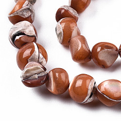 Sienna Natural Trochid Shell/Trochus Shell Beads Strands, Dyed, Nuggets, Sienna, 7~12x5~10x4~8mm, Hole: 1mm, about 60~64pcs/strand, 15.16 inch~15.75 inch(38.5~40cm)