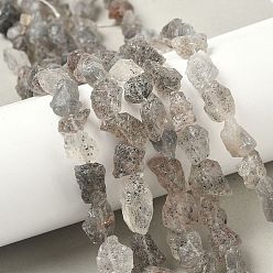 Другие Кварцы Натуральные черные соевые бобы сырая руда бусины нити, 6~24x7~16x4~10 мм, отверстие : 1 мм, около 25~38 шт / нитка, 15.35~15.94'' (39~40.5 см)