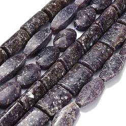 Лепидолит Натуральный лепидолит / пурпурный слюдяный камень бисер пряди, разнообразные, 22~31x9.5~16x6.5~12 мм, отверстие : 1~1.2 мм, около 13~19 шт / нитка, 15.55~16.02'' (39.5~40.7 см)