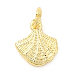 Настоящее золото 18K Латунь прелести, формы раковины, долговечный, стойки покрытие, с целью перехода в кольце, реальный 18 k позолоченный, 11.5x10x3 мм, отверстие : 3 мм