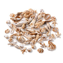 Mixed Shapes Непрозрачные акриловые подвески, форма ракушки/морская звезда, разнообразные, 15~68.5x10~30x4~17.5 мм, отверстие : 1.6~2.5 мм